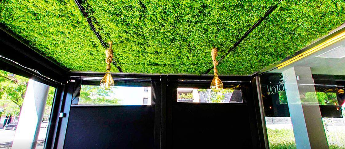 Aplicación de jardines verticales para restaurantes