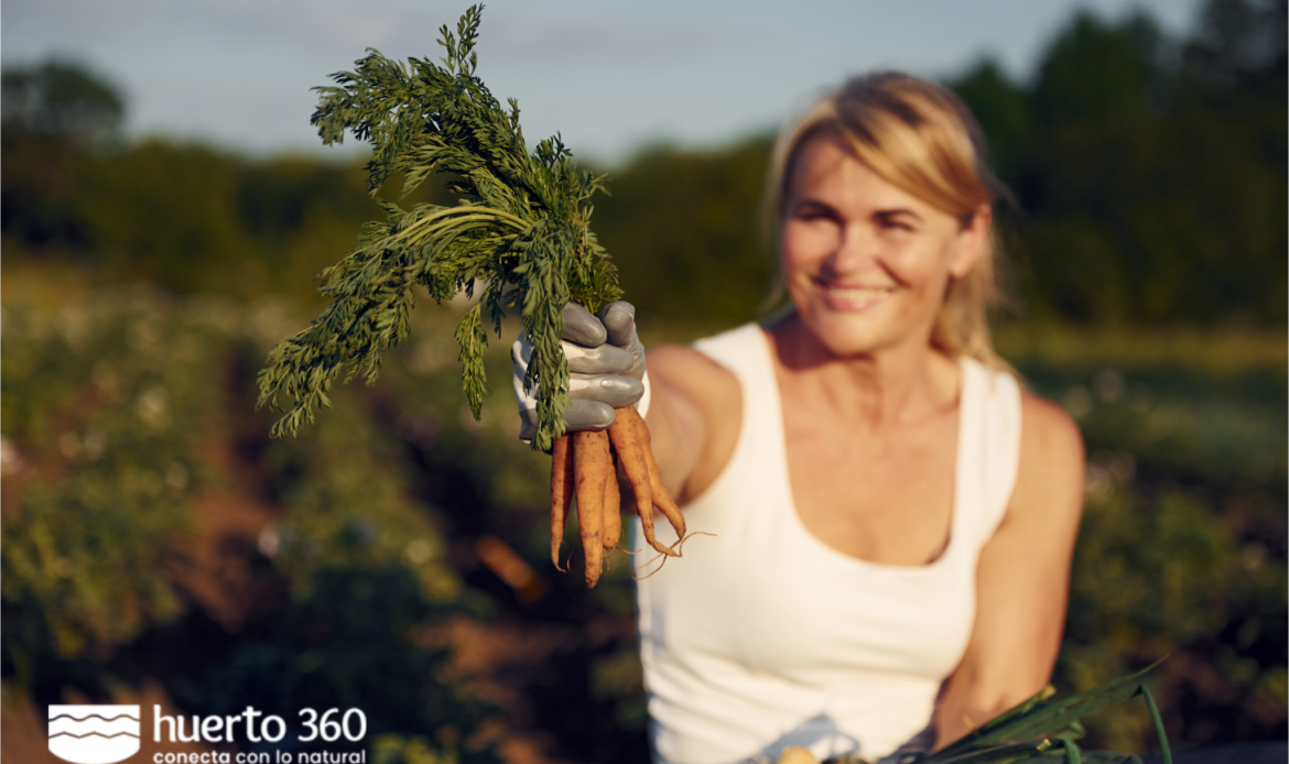 Huerto360, la primera plataforma gratuita que fomenta la agricultura urbana