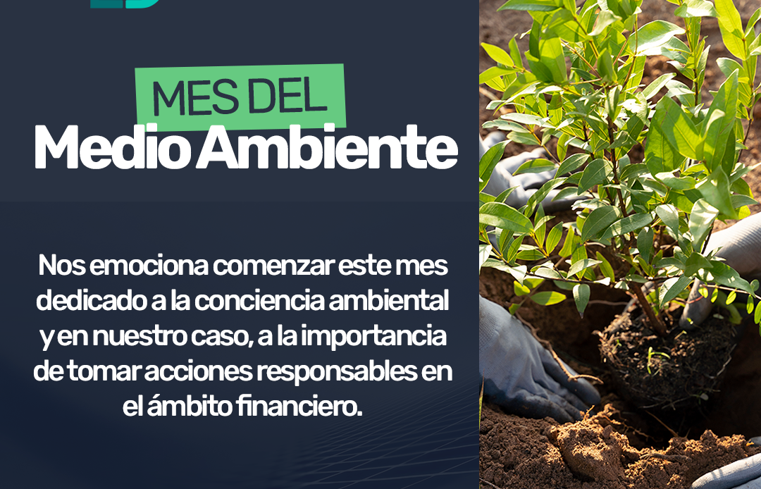 SafeBrok, demuestra su firme compromiso con la sostenibilidad el Día Mundial del Medio Ambiente