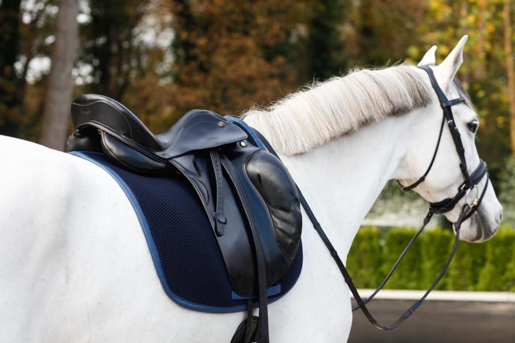 Cal Rei, líder en la creación de mantillas para caballos con tejido técnico, implementa su presencia avanzada con las ayudas del Kit Digital