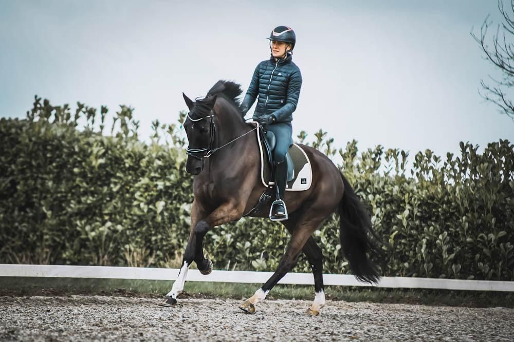 Cal Rei, especializada en la confección de mantillas para caballos con tejido técnico, estrena nueva página web