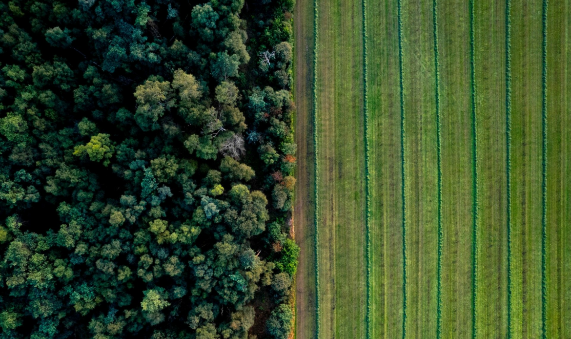 Más de 30.000 empresas españolas, a menos de 7 meses de la directiva europea sobre deforestación