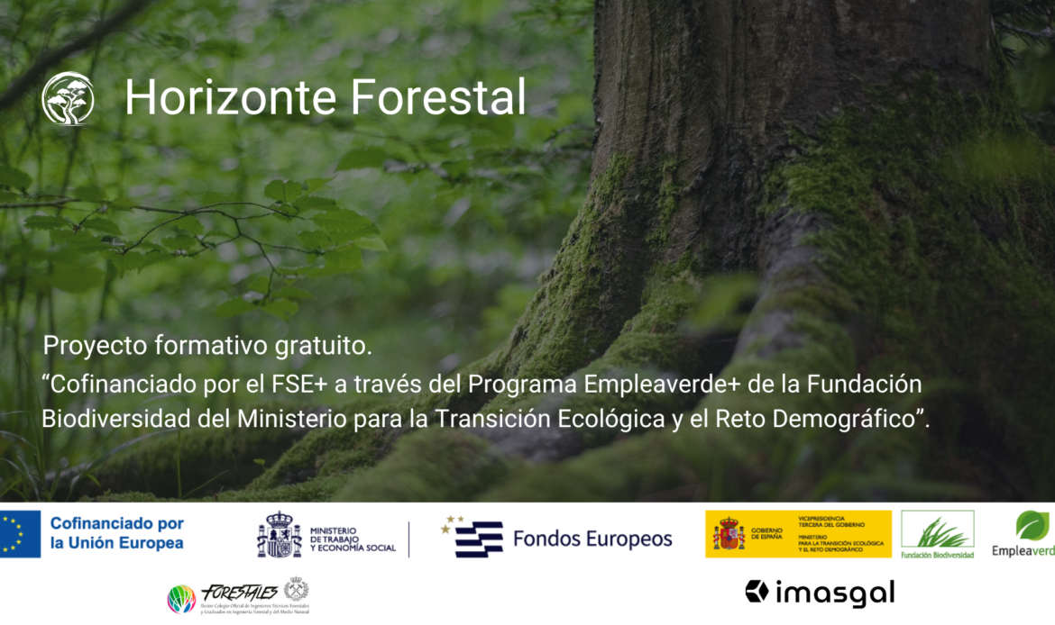 Horizonte Forestal: proyecto formativo gratuito