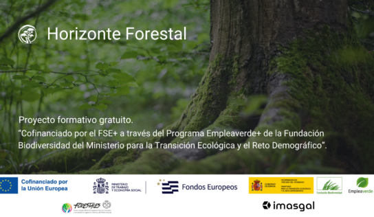 Horizonte Forestal: proyecto formativo gratuito