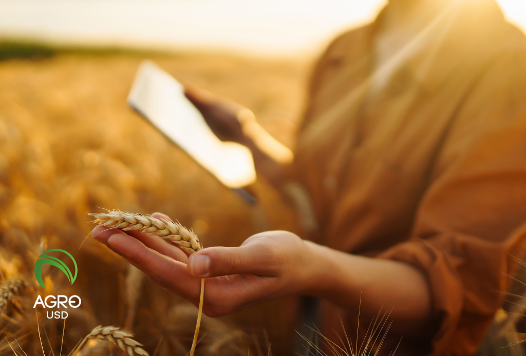 AgroUSD impulsa autonomía financiera en el campo con tecnología diseñada desde la producción