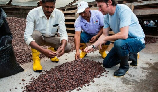 Paccari, el chocolate ecuatoriano que vela por la preservación del planeta y un mundo más equitativo