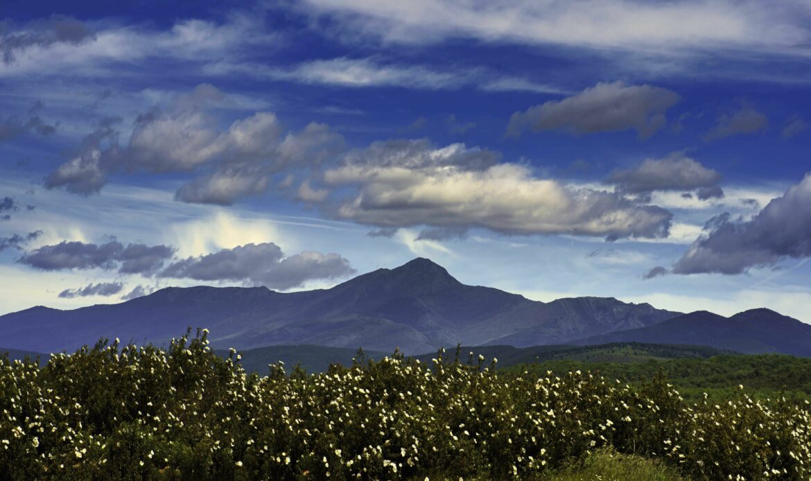 ADEL impulsó la economía rural con ayudas a asociaciones y ayuntamientos
