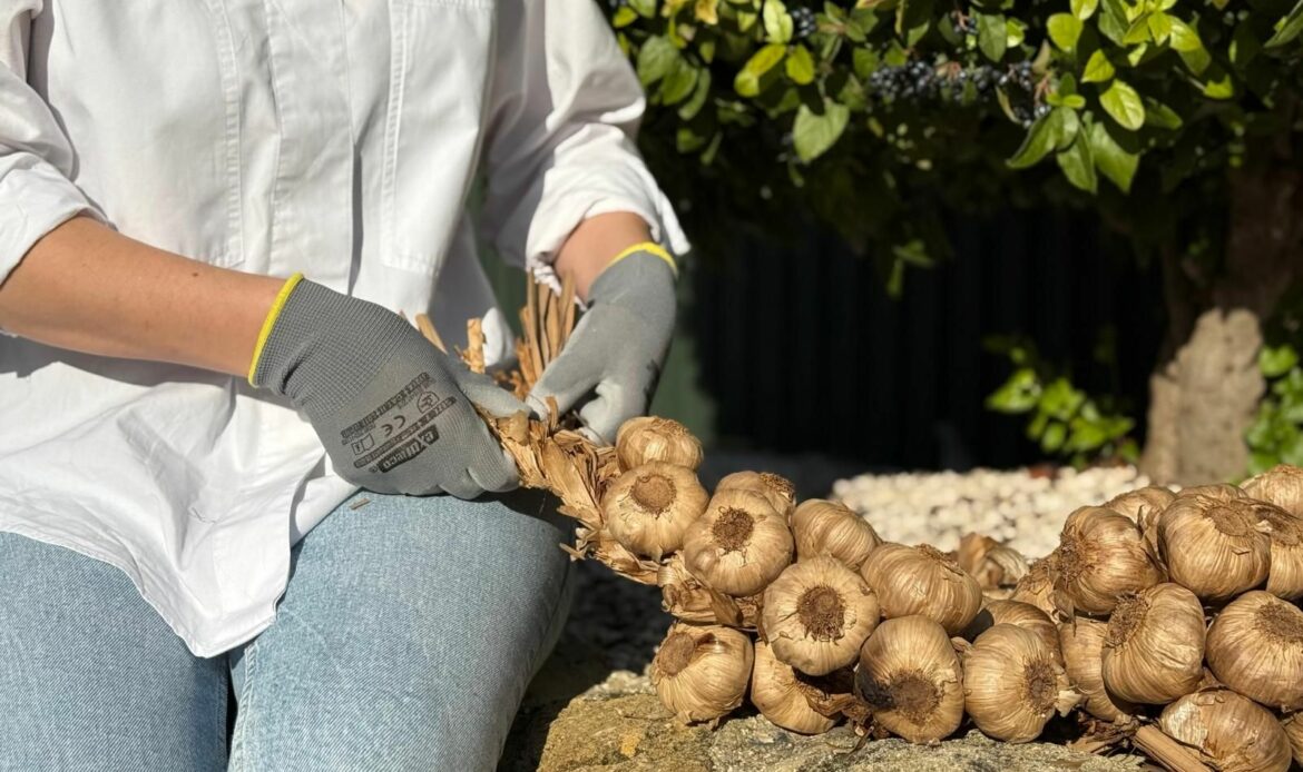La Abuela Carmen reinventa el trenzado ancestral con su ajo negro