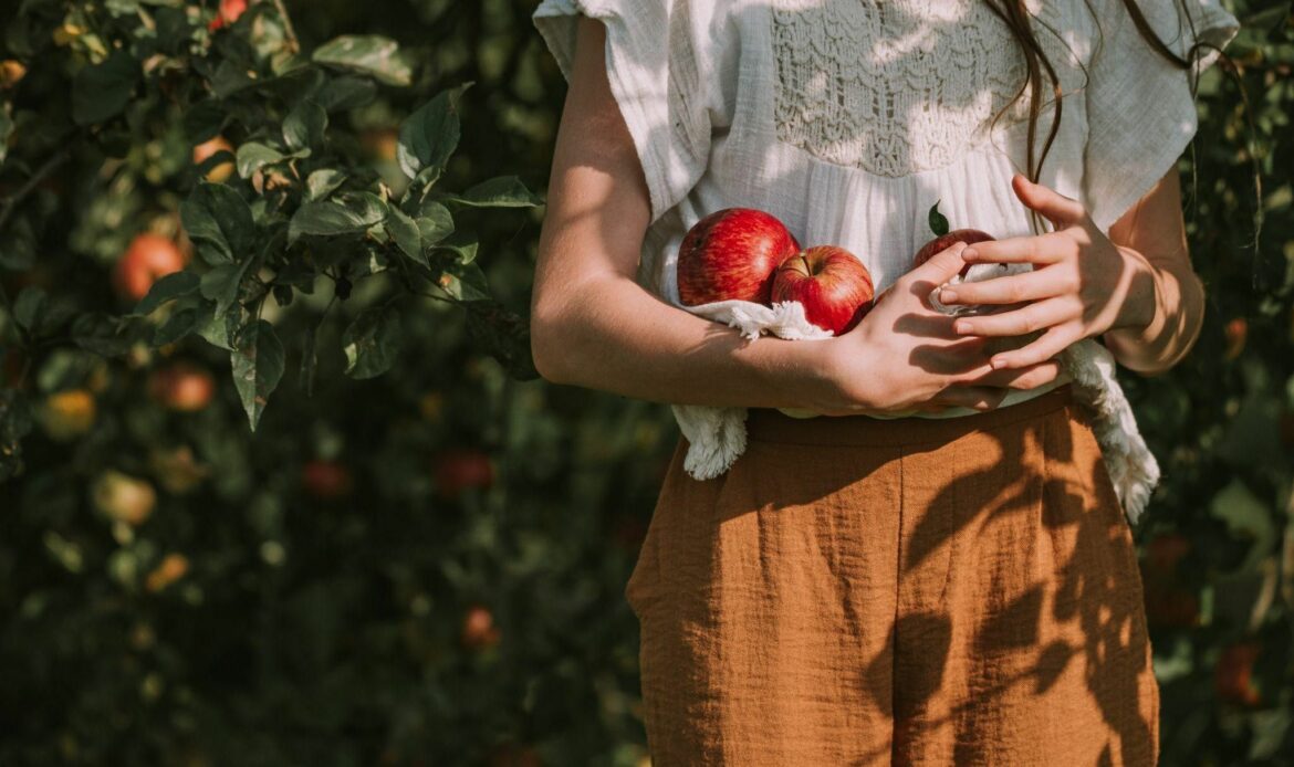 Mak Food Company cierra 2025 con un crecimiento sólido, expansión internacional y estabilidad