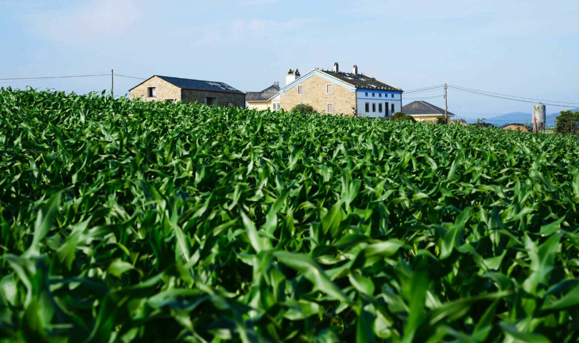 El Fondo de la Comunidad de Airbnb dona más de 2 millones de dólares a 28 organizaciones sin ánimo de lucro en Europa