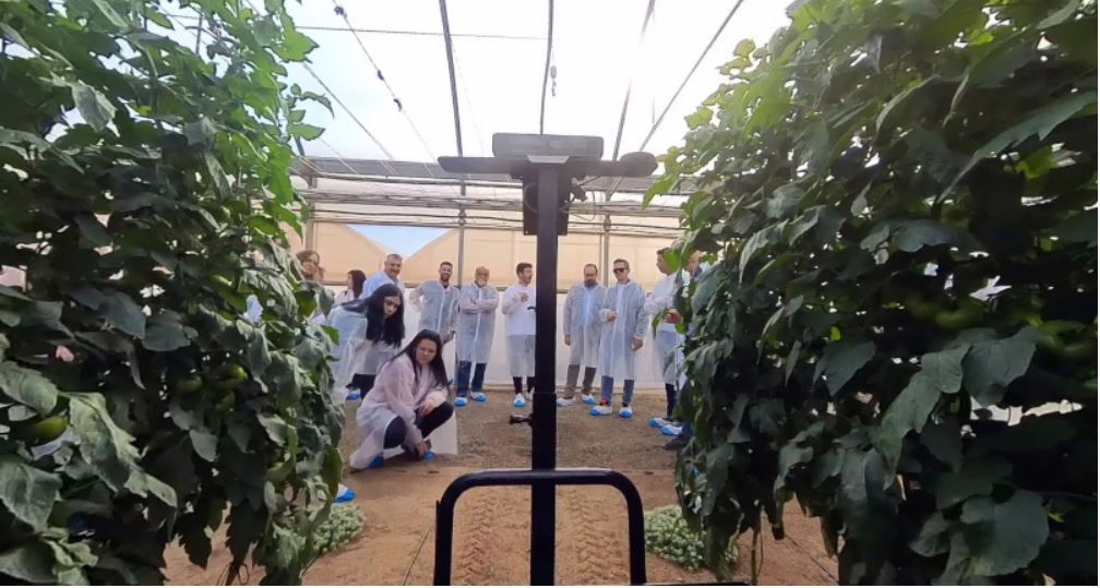 Cajamar Innova Agrotech lanza tres nuevos Retos Tecnológicos para impulsar la innovación en el sector agroalimentario