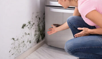 Cómo prevenir humedades: consejos de expertos para mantener tu hogar sano