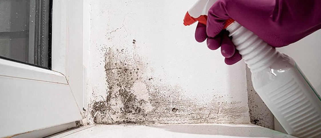 Evita las humedades: Consejos de expertos para un hogar seco Evita las humedades: Consejos de expertos para un hogar seco