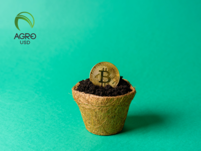 AGROUSD se consolida como opción estable para operaciones digitales en el ecosistema agro