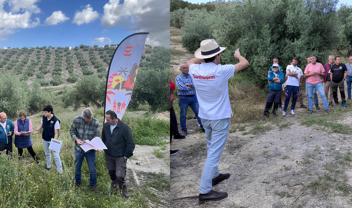 VivaOliva impulsa la agricultura regenerativa en Jaén con la formación de un centenar de agricultores