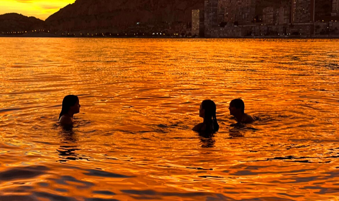 Delfinautica impulsa en Alicante una escuela náutica de formación real, seguridad y experiencias en el mar