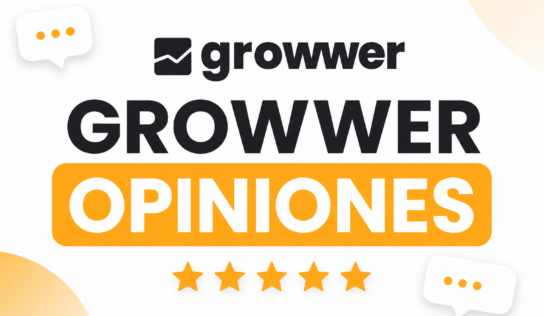 Growwer opiniones: cómo funciona una plataforma de link building